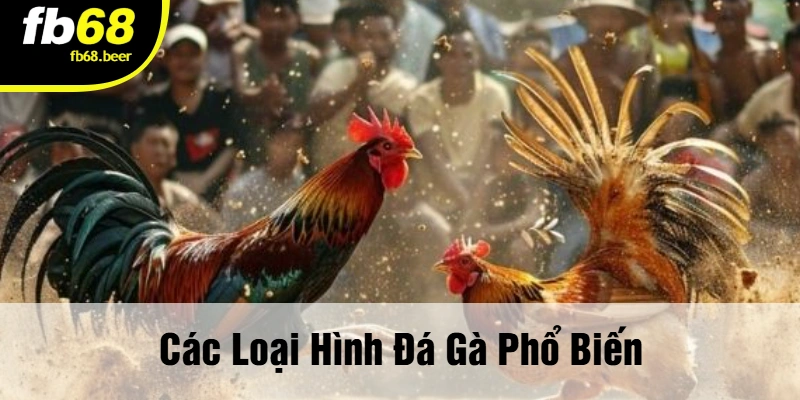 Các Loại Hình Đá Gà Phổ Biến