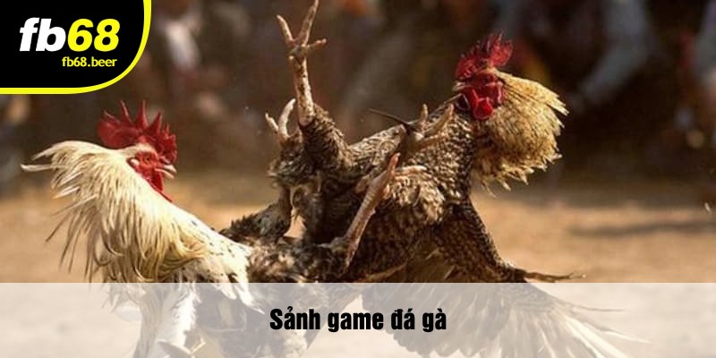 Sảnh game đá gà 